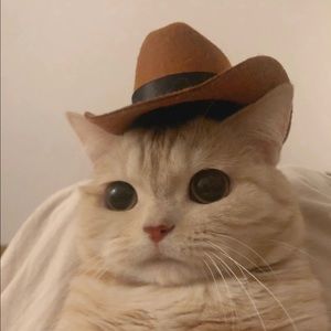 Meet your Posher, Emmy